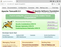 Apache Tomcat 8.5.5 - веб-интерфейс