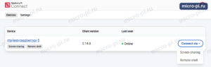 Список устройств Raspberry Pi Connect: my-test-raspberrypi-5 онлайн, значки Screen sharing и Remote shell, меню Connect via