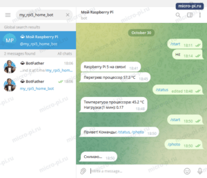 Чат с ботом: команды /start, /status и /photo