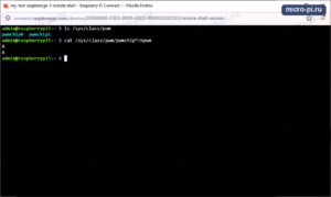 Терминал Raspberry Pi: ls /sys/class/pwm показывает pwmchip0 и pwmchip1, cat /sys/class/pwm/pwmchip*/npwm выводит 4 и 4