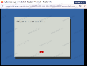 raspi-config сообщает: NVMe/USB is default boot device