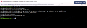 Терминал Raspberry Pi: sudo -i, cd /etc/wireguard, umask 077, wg genkey с tee server_private.key и wg pubkey в server_public.key, cat server_public.key выводит открытый ключ (закрыт подписью)