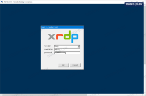 Окно входа xrdp на Raspberry Pi: сеанс Xorg, имя пользователя и пароль